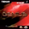 Tibhar - Genius