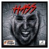 hass front web
