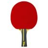 ROOKIE Drinkhall bat front 100x100