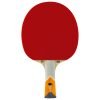 XXX Orange Edition Bat Front 1 100x100
