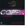 coppa tenero 20120828 1133372321