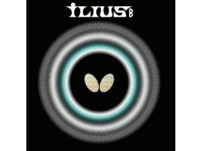Butterfly Ilius b