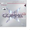 coppa x3 silver 20120828 1092483014