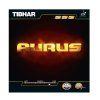 Aurus