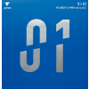 v 01