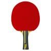 ROOKIE Drinkhall bat front 100x100