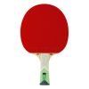 XXX Green Edition Bat Front 1 100x100