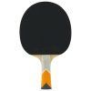 XXX Orange Edition Bat Back 1 100x100
