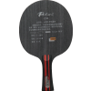 palio c88 4