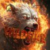 DMS wildFireCover 01
