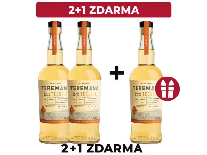 ChatGPT Image 31. 10. 2025 13 15 17