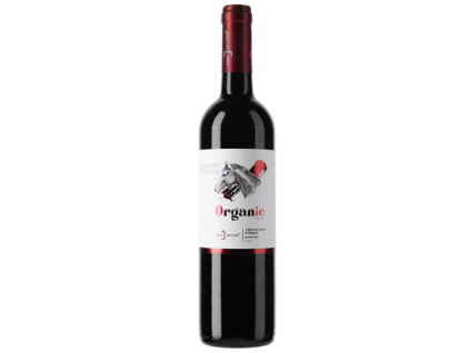 cabernet cortis regent suche t3