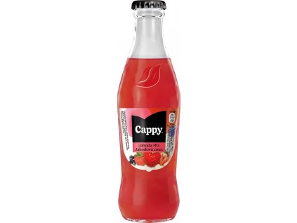 0,25 L Cappy Jahoda (CZ+SK) 90382956