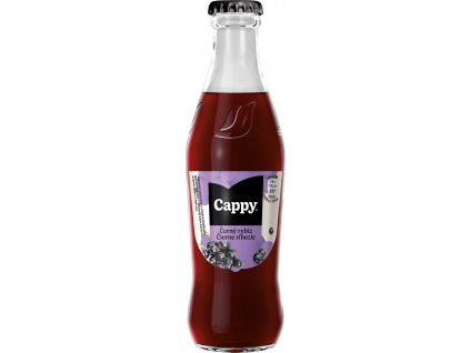 0,25 L Cappy Černý rybíz (CZ+SK) 54493124