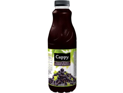 Cappy Černý Rybíz 1l
