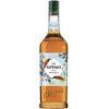 GIFFARD SIROP VANILLE 1L LAHEV Celni RGB 150dpi JR