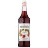 Monin Fraise - Jahoda 1l