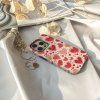 Kryt na iPhone - Hearth parade