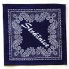 Modrotisková prostírka čtverec strážnice 22 x 22 cm 3