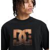 DC Shoes Star Oxidized Tee black4