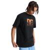 DC Shoes Star Oxidized Tee black5