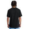 DC Shoes Star Oxidized Tee black6
