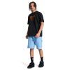 DC Shoes Star Oxidized Tee black7