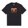 DC Shoes Star Oxidized Tee black1