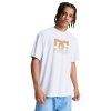 DC Shoes Star Oxidized Tee white3