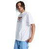 DC Shoes Star Oxidized Tee white5