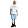 DC Shoes Star Oxidized Tee white6