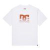 DC Shoes Star Oxidized Tee white1