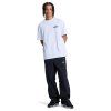 DC Shoes Flow Down Track Pants black8