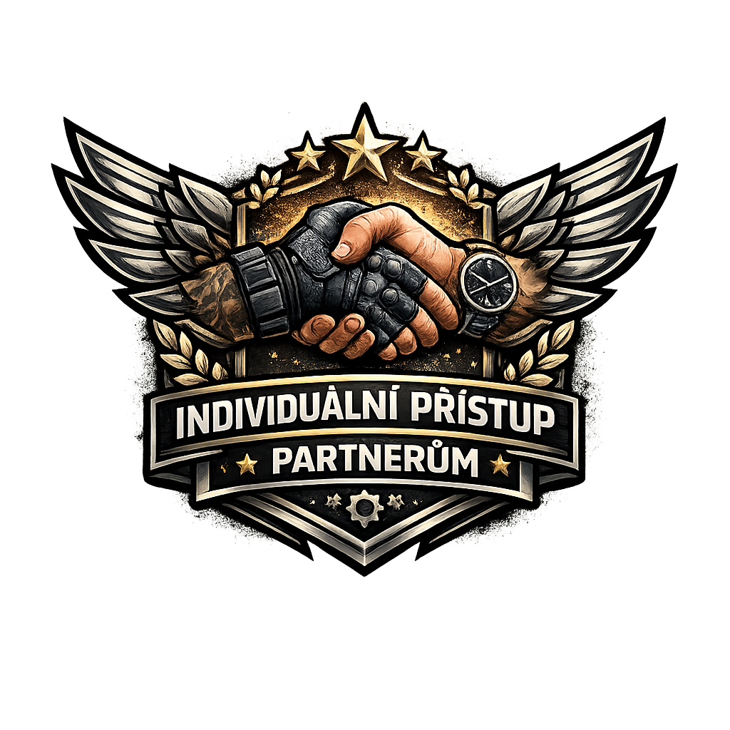 Partnerský přístup