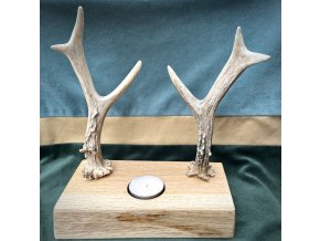 Svícen ze dřeva s parožím