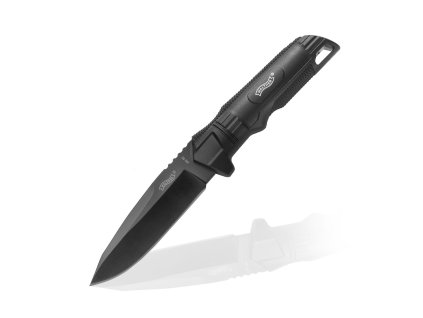 2002 noz walther backup