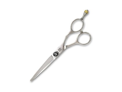 Kadeřnické nůžky 5,5" TITAN T455 ACRM Profesional