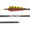 2632 1 sip carbon 30 easton power flight 400 nat