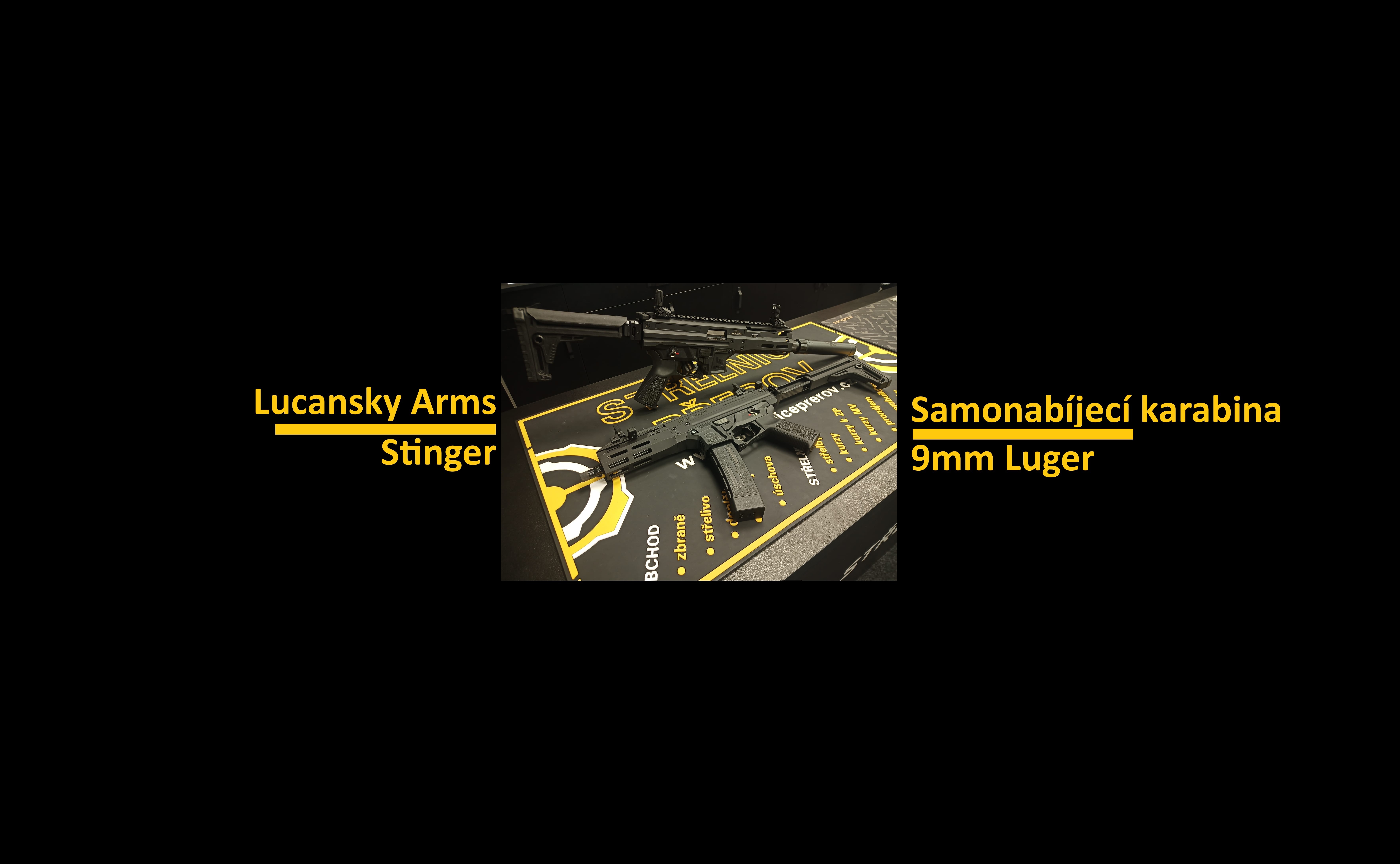 Lucansky ARMS