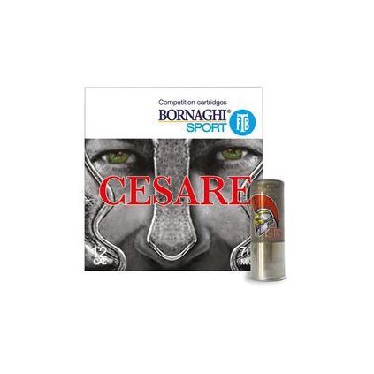 Střelivo 12/70 Bornaghi T4 Cesare, 24g 2,4mm