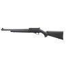 10 22 22LR Ruger Blued Barell 2