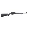 10 22 22LR Ruger Blued Barell 1