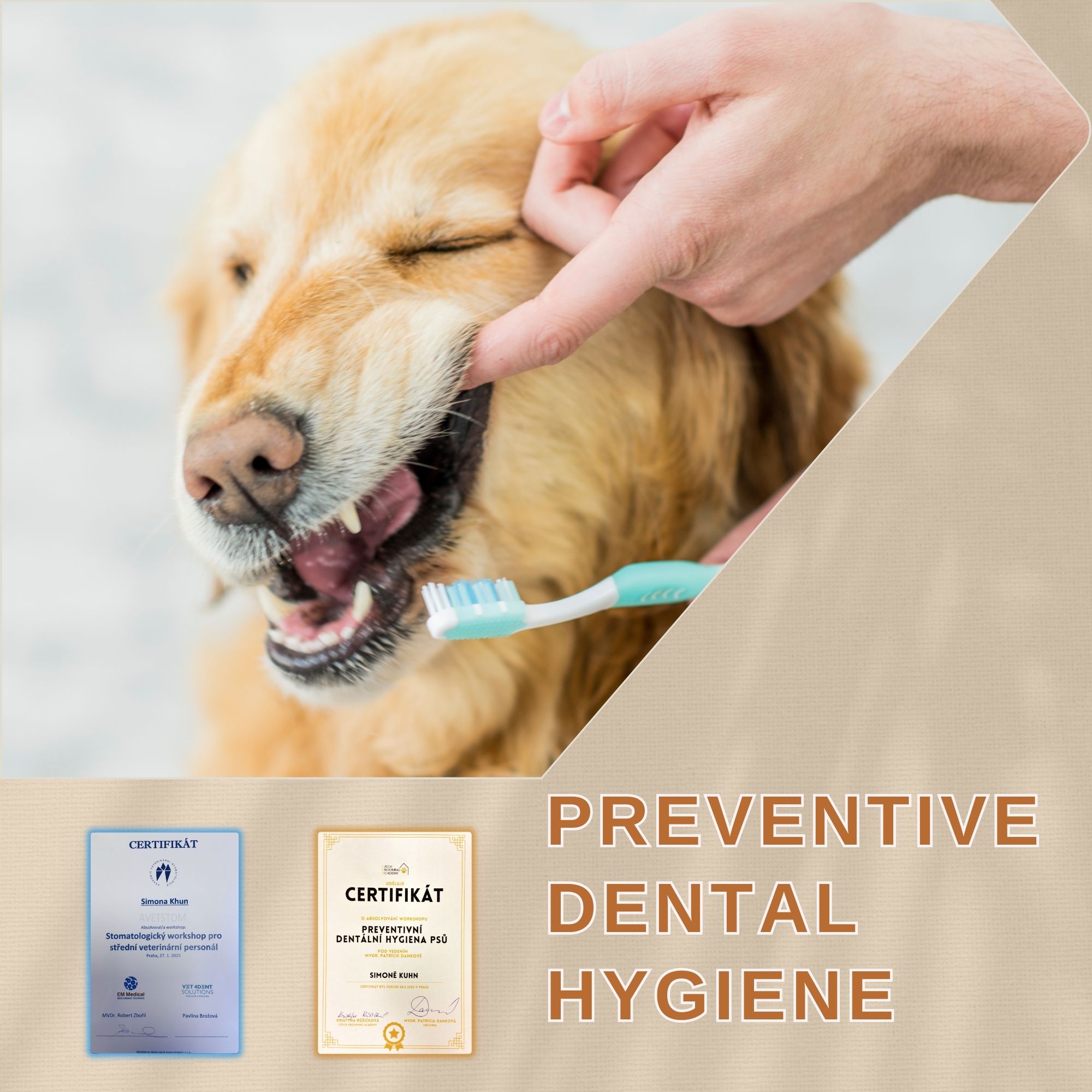 Dentální hygiena M EN