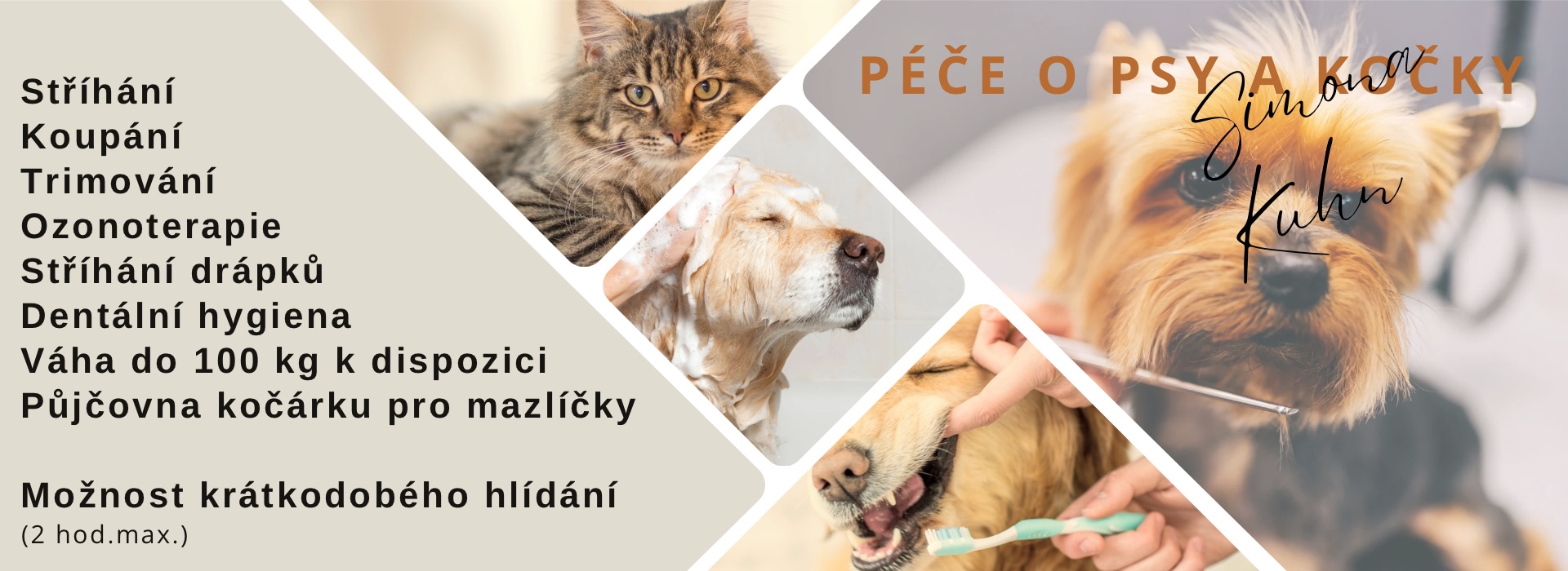 Služby Salonu