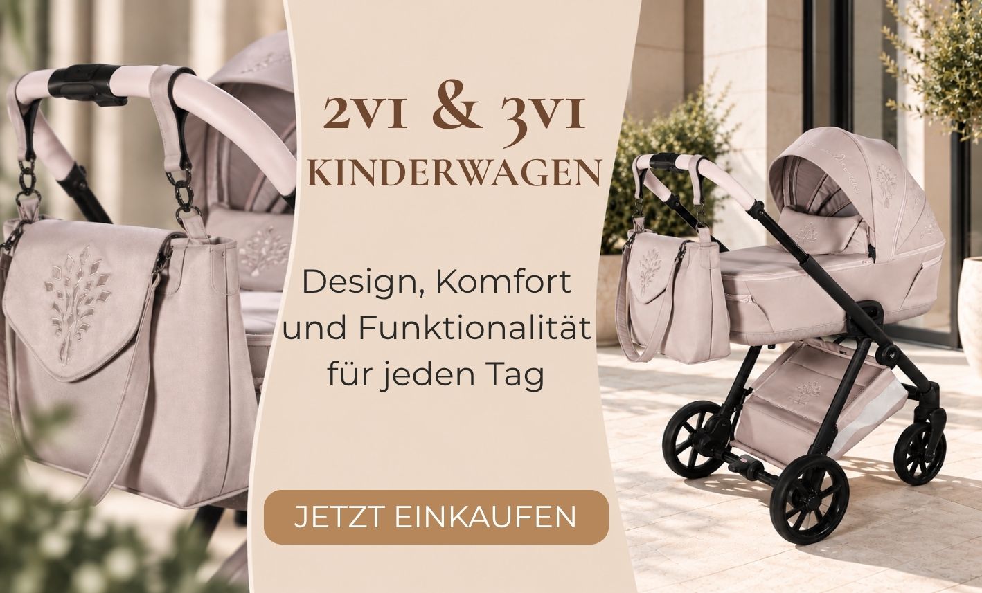 Endecken Sie 2-in-1 und 3-in-1 Kinderwagen