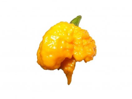Carolina reaper yellow chillimat
