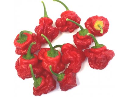 habanero tasmanian