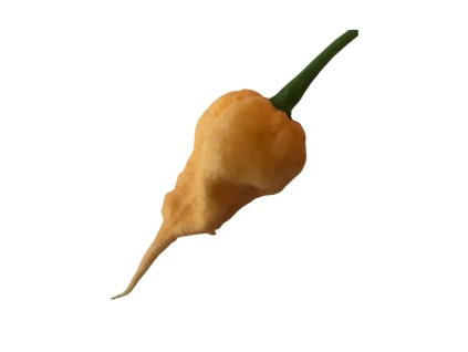 Carolina Reaper Peach