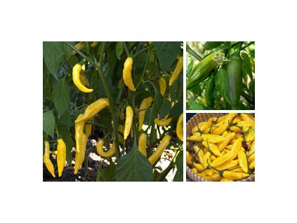chilli lemon drop