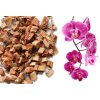 orchideenchips orchidee 2